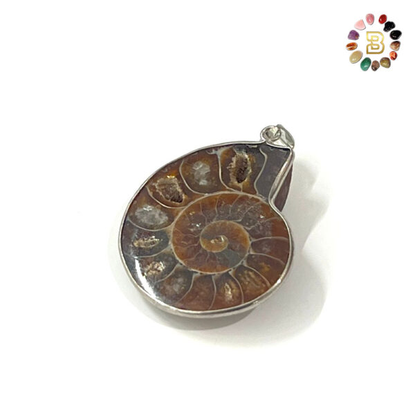 Ammonite Shell Pendant