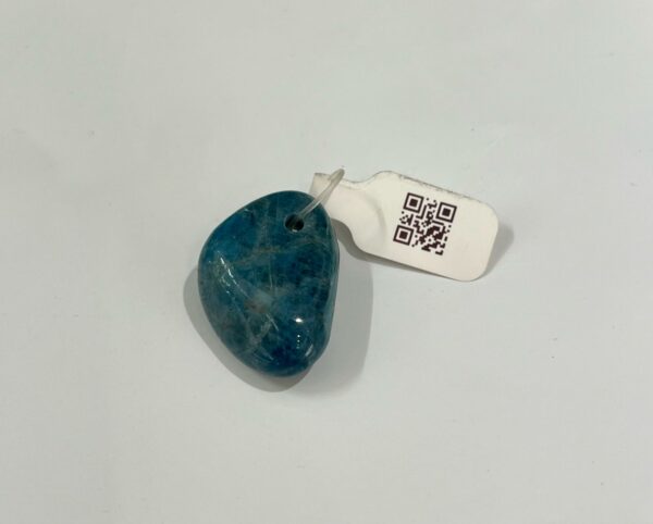 Apatite tumbled stone Pendant