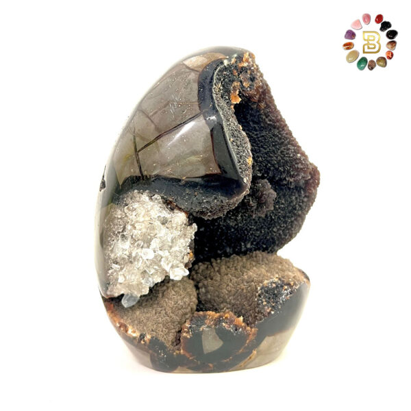Black septarian(859.3g)