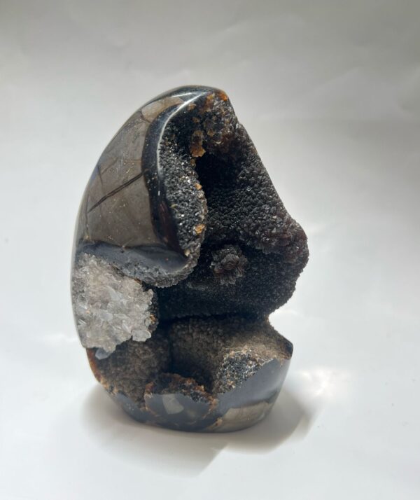 Black septarian(859.3g)
