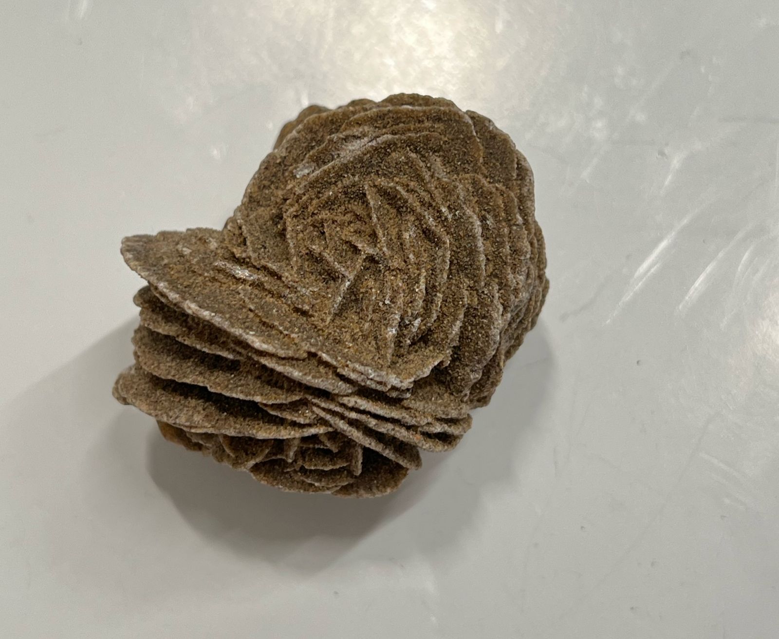 Desert Rose Selenite