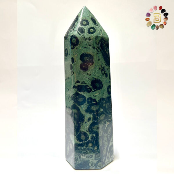 Kambaba Jasper Tower(812.8g)
