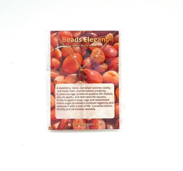 Single Stone Carnelian Stainless Steel Necklace