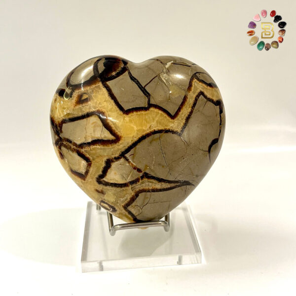 Yellow Septarian Heart Shape(635.4g)