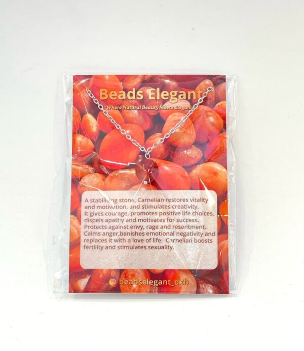 Single Stone Carnelian Stainless Steel Necklace