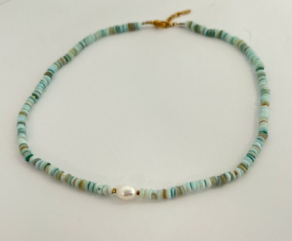 Shell Necklace with Fresh Water Pearl